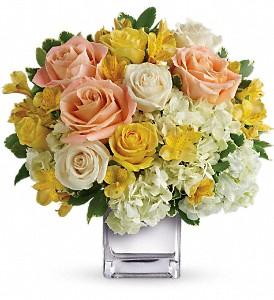 Peach and yellow roses with touches of white flowers delivered by local florist in Winnipeg 