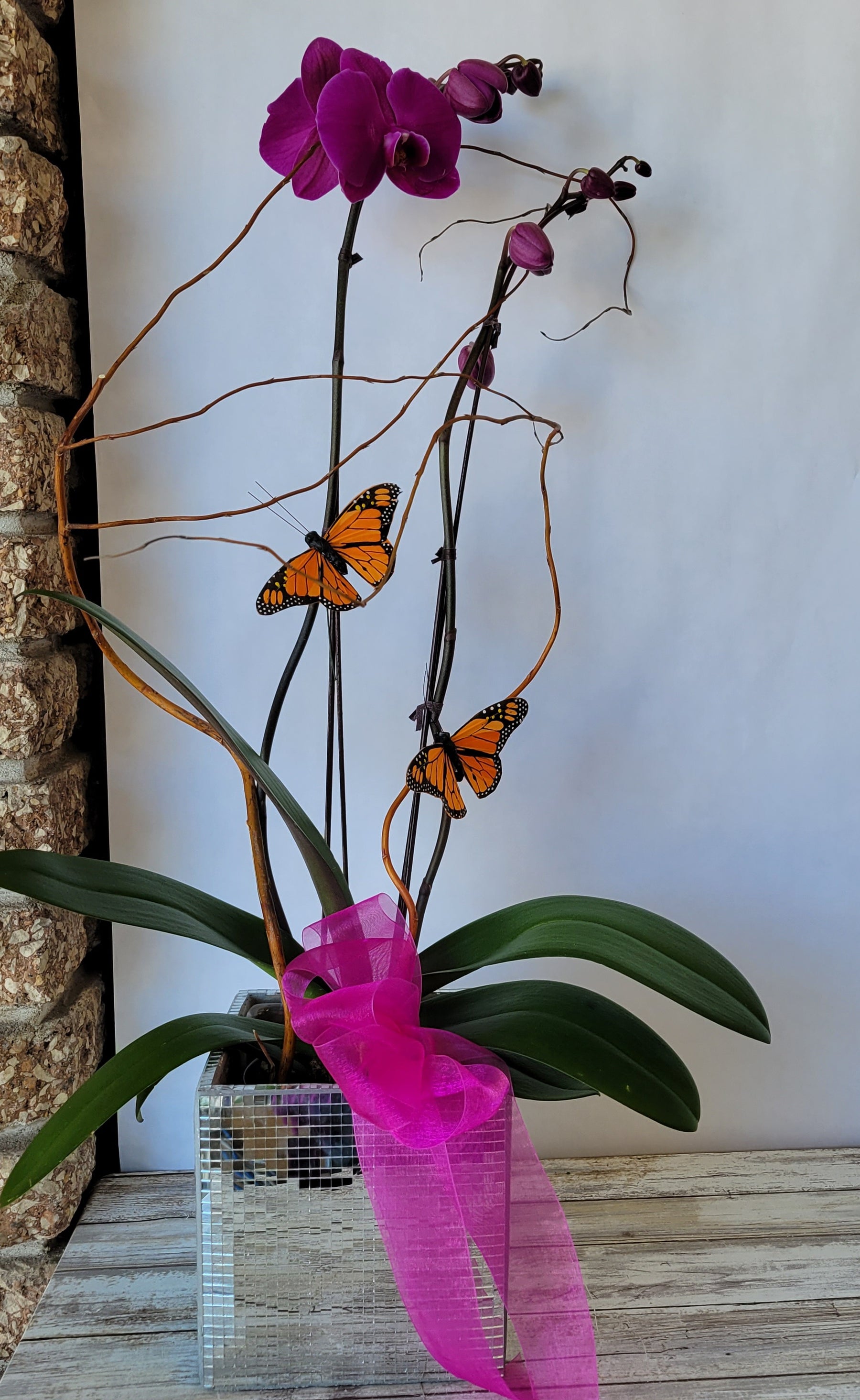 Indoor Plant Delivery in Winnipeg Valley Flowers Valley Florist