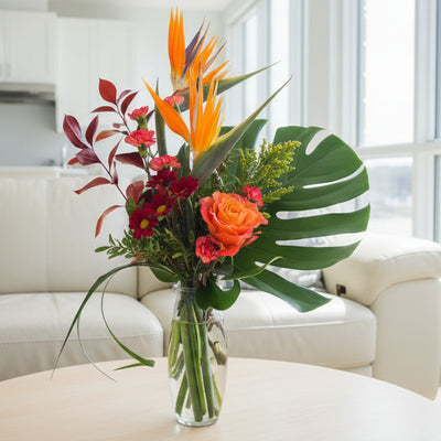 Super Special #4   FREE DELIVERY