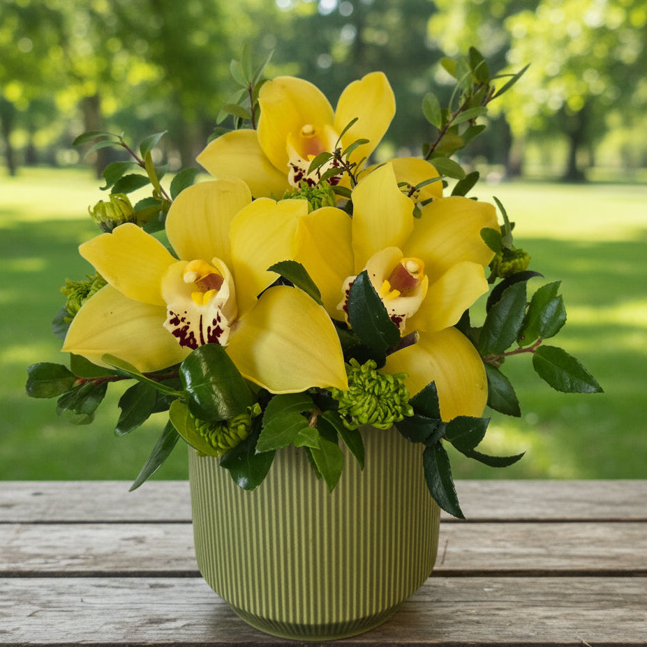 Sunny Orchids