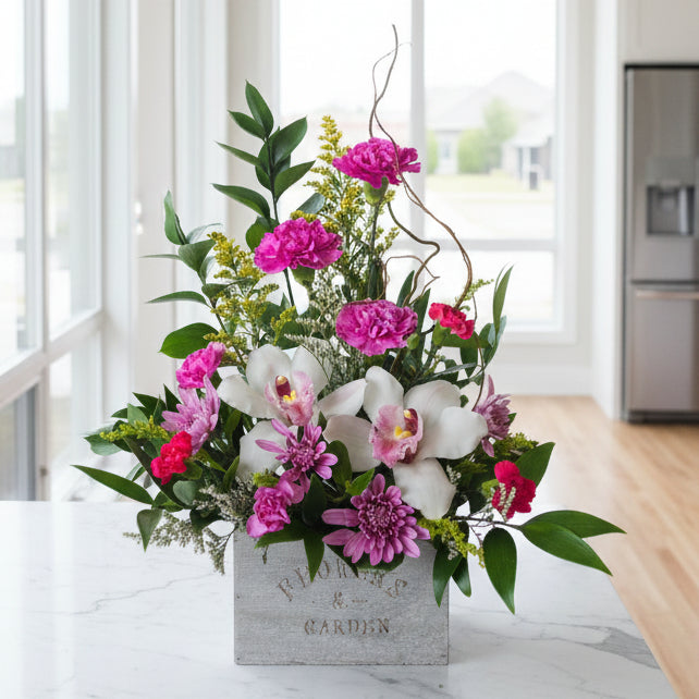 Orchid Harmony