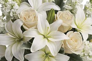 All white floral bouquet ideal for delivery of sympathy flowers in Winnipeg. 