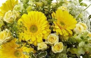 Bright yellow gerbera and roses perfect for Get Well Flowers Delivered in Winnipeg.