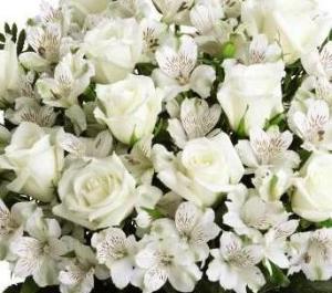 All White flowers suitable for Funeral flowers in Winnipeg.