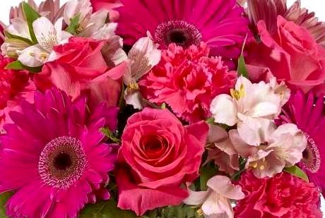 Pink flowers that are perfect to send for delivery to hospital to celebrate New Baby!