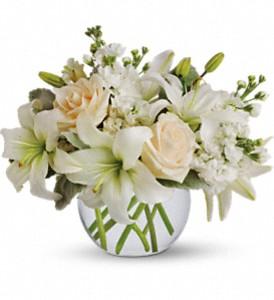 Created by local florist in Winnipeg-Valley Flowers, these white blooms arranged in clear vase is a sweet and simple gift for sympathy.