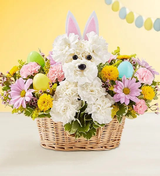 Easter  Puppy