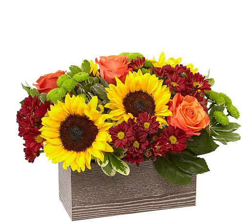 thanksgiving flowers in fall tones with free delivery in winnipeg
