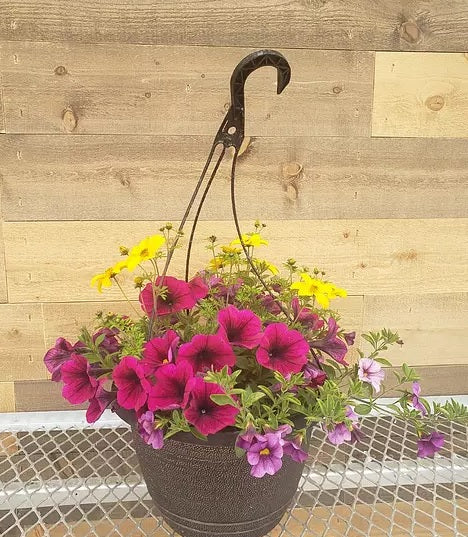 outdoor hanging plant delivery Outdoor Hanging Basket