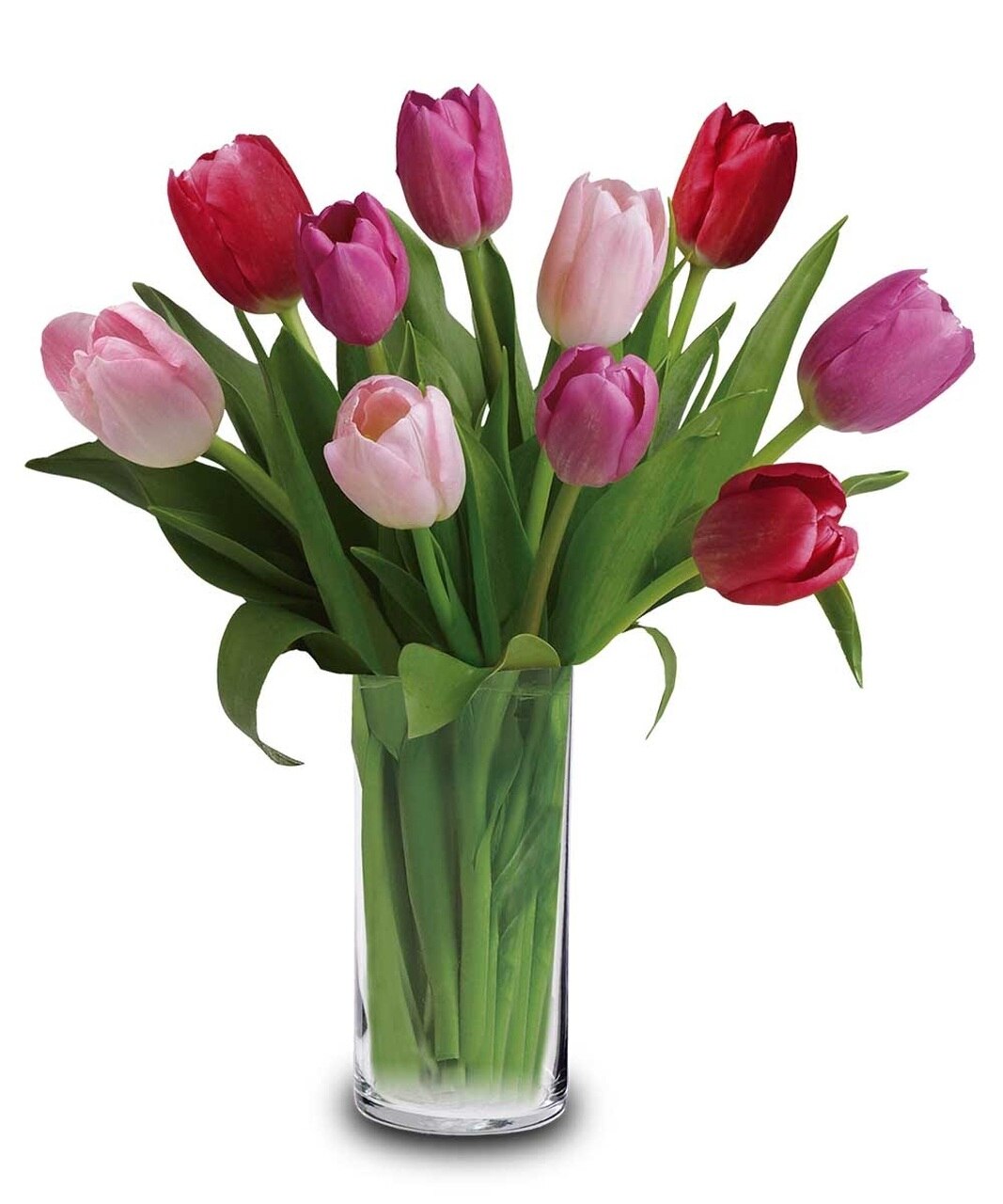 Tulips SOLD OUT